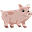 piggy