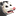 possum