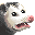 possum