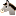 donkey