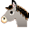 donkey