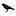 raven