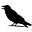 crow