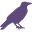 raven3