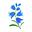 bluebell