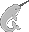 narwhal